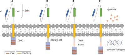 NK Cell-Based Immunotherapy and Therapeutic Perspective in Gliomas